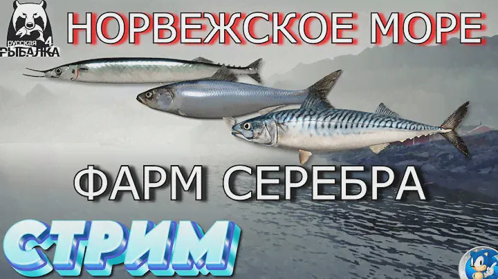 🌟НОРВЕЖСКОЕ МОРЕ🌟БЕРУ БИЛЕТ НА  5 ЧАСОВ🌟Русская Рыбалка 4(РР4)🌟