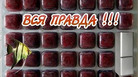 ВСЯ ПРАВДА О ЗАМОРОЖЕННОМ КОРМЕ ДЛЯ АКВАРИУМНЫХ РЫБОК