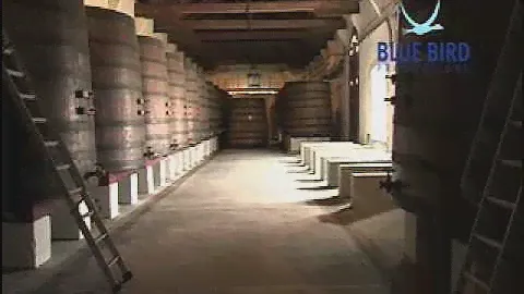 Chateau Margaux FilmImages.mp4