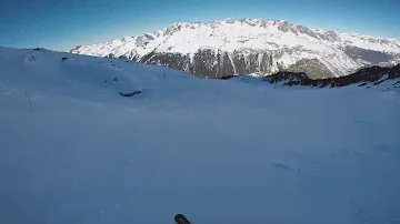 Chamois (black), Arolles (blue), Remuaz (black), Les Grands Montets - Argentière, France - 01/2022